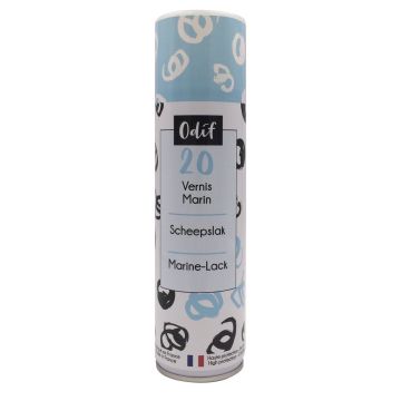 Boots- und Aussenlack Spray 250 ml