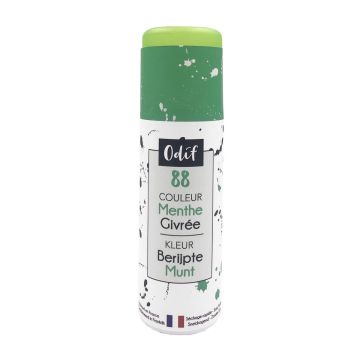 Mattierte Farbe Mint Spray 125 ml